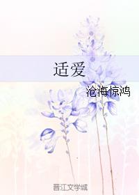 适爱什么意思