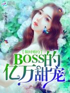 限时婚约boss的亿万甜宠 小婉儿