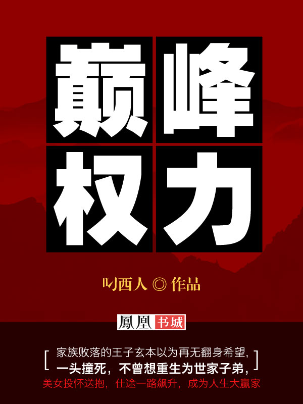 巅峰权力官方小说