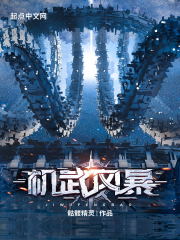 机武风暴笔趣阁无错版