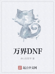 万界罐子dnf