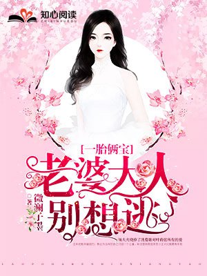 一胎俩宝老婆大人别想逃了