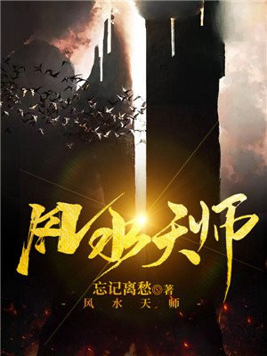 风水天师1-80集视频