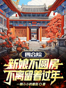 四合院新款