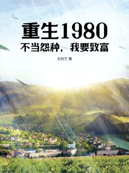 重生1980不当接盘侠1-8合集