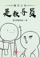 精灵之我是小智他哥